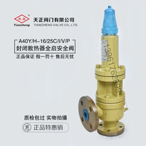 Tizheng A40Y-16 25 40 64 100C I V P with closed Radiator Spring full open safety valve