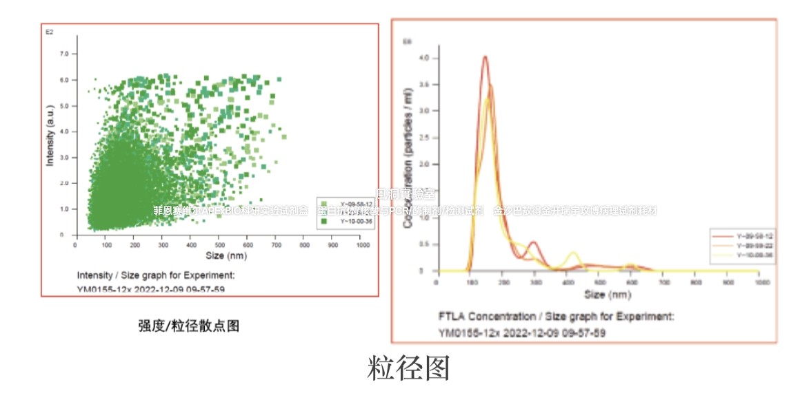 umibio?牛奶外泌体提取物,适用于透射电镜/NTA粒径/核酸蛋白分析
