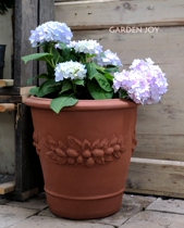 Fall in love with the garden) Crude pottery has a single-line pomegranate basin in Jiangsu Zhejiang Shanghai Anhui and non-remote areas