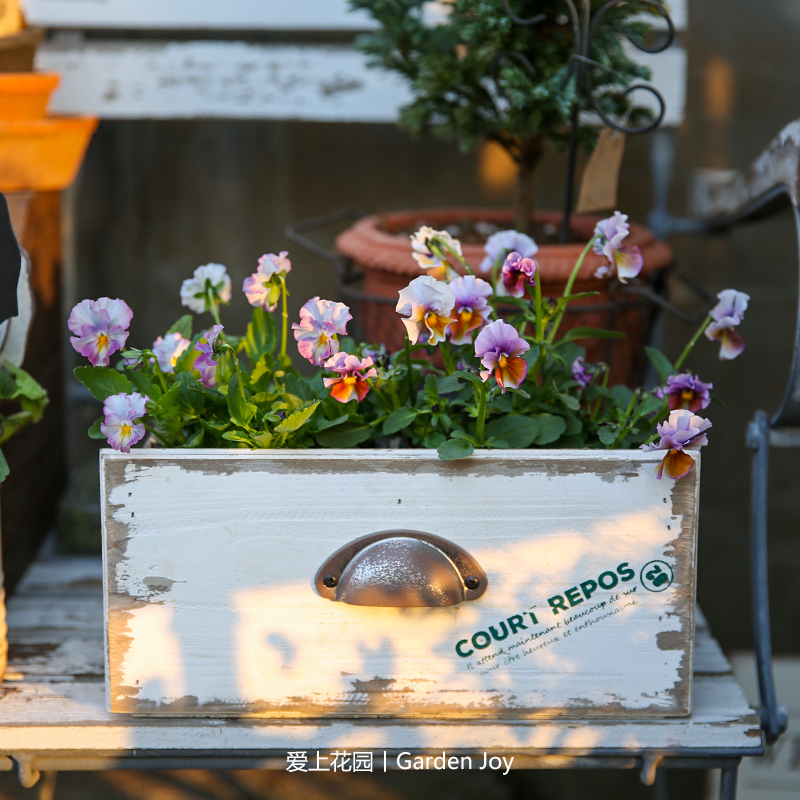 Fall in Love with the Garden | Gardening Supplies, Garden Courtyard Terrace Solid Wood Decorative Ornaments, Wooden Drawer Wall-Mounted Flower Box