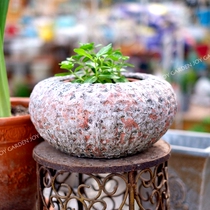 Fall in love with the garden) foreign trade color pottery pots mottled ancient style old sweater texture short round close mouth Bowl special
