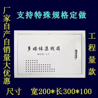 200times 300 Weak Electric Box Engineering Multimedia Optical Fiber Box Multimedia Information Collection Wire Management Box Dark Power Distribution Box