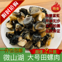 Large Wild Field snail meat Weishan Lake Fresh 2kg frozen snail meat snail meat snail meat screw meat