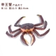 Император краб (коричневый)