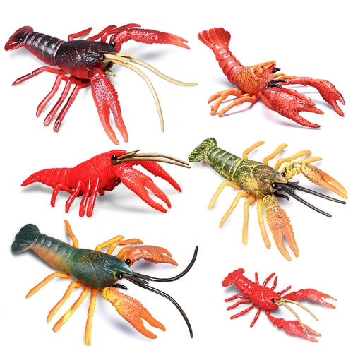 Моделирование настоящего сердца пресноводных кротов игрушек членисторонние модель Керри Оригинальные детские науки и образование