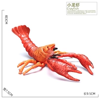 Хвост-подъемник «Рак»