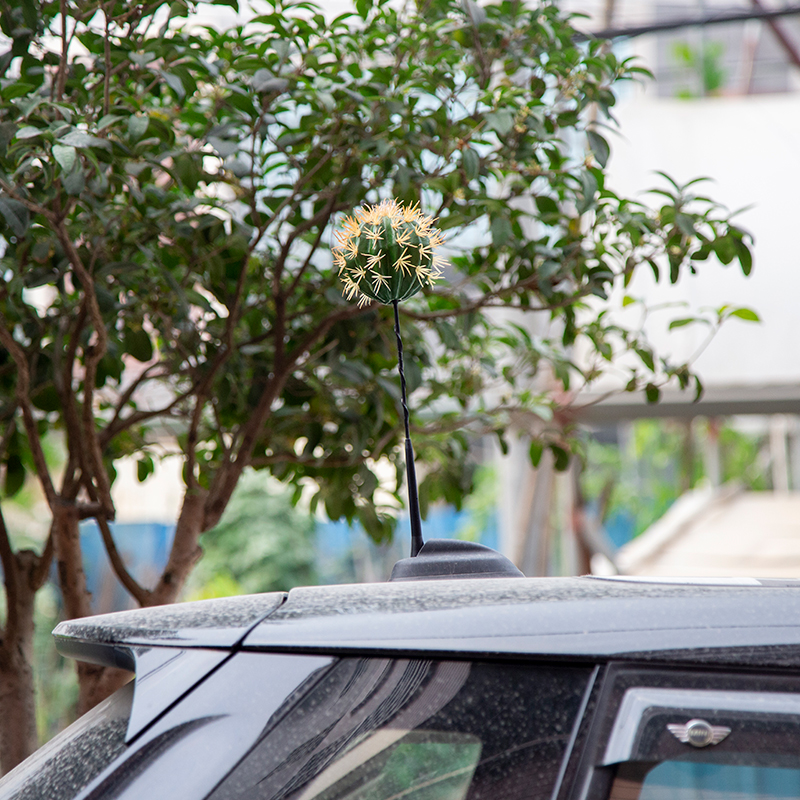 minicooper car antenna cactus decorative ball fumbling with the same antenna ball car external antenna retrofit universal