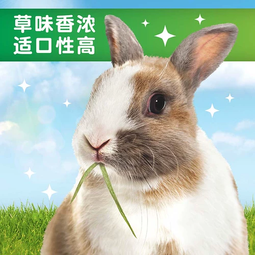 Joy & Fiber Titami Cao (один раз) Tisa Rabbit Totoro, Donarnar, сушеная трава, трава, трава, трава