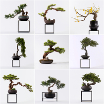  New Chinese style model room simulation welcome pine Arhat pine bonsai soft decoration Hotel entrance decoration Sales office decoration