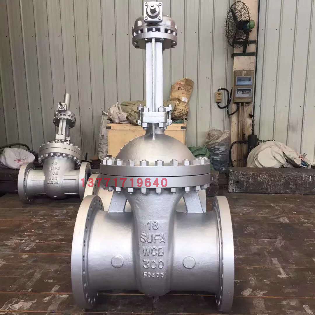 China Nuclear Su Valve SUFA Su Valve Suzhou Valve Factory H Brand China Nuclear Suzhou Valve Manufacturer Hot Sale