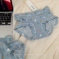 Маленький северный полярный переговор