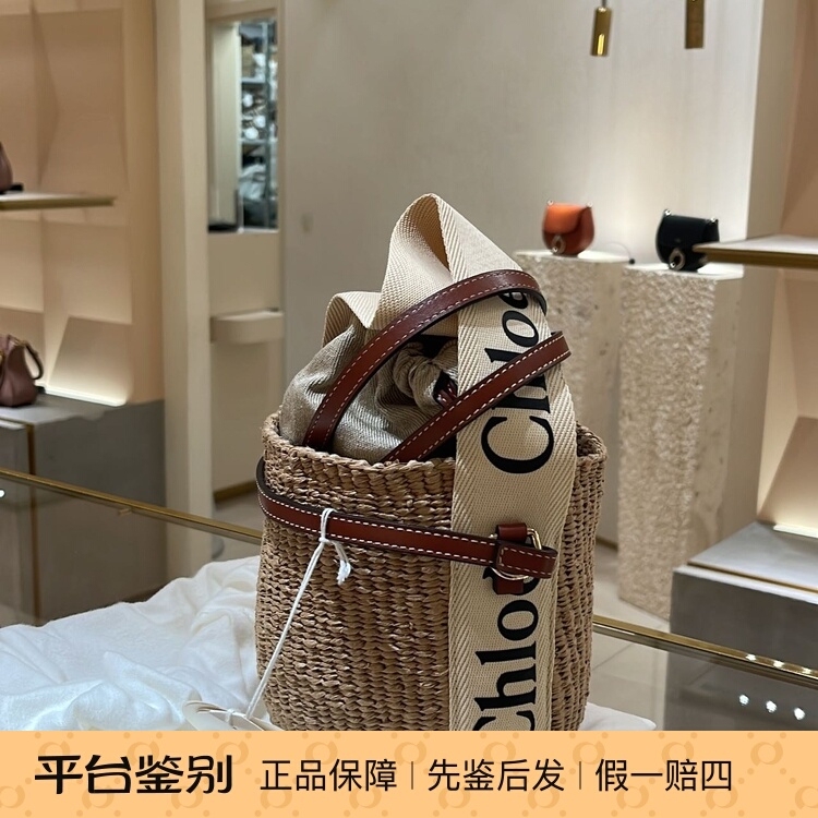 Chloe Woven Bucket Bag, Handbag and Crossbody Bag