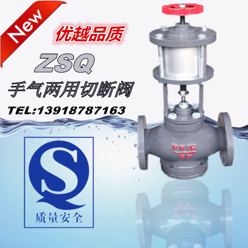 ZSQ ZSPQ Film Cutting Valve Steam Printing Piston Film Valve DN20-DN200