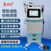 丽琪新款塑形美体按摩仪器减脂养生排湿寒塑型立式美容院形体大师