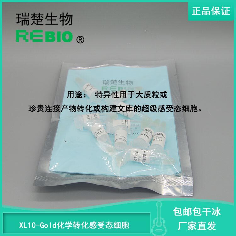 顺丰包邮包干冰XL10-Gold化学转化感受态细胞大肠杆菌10支20支
