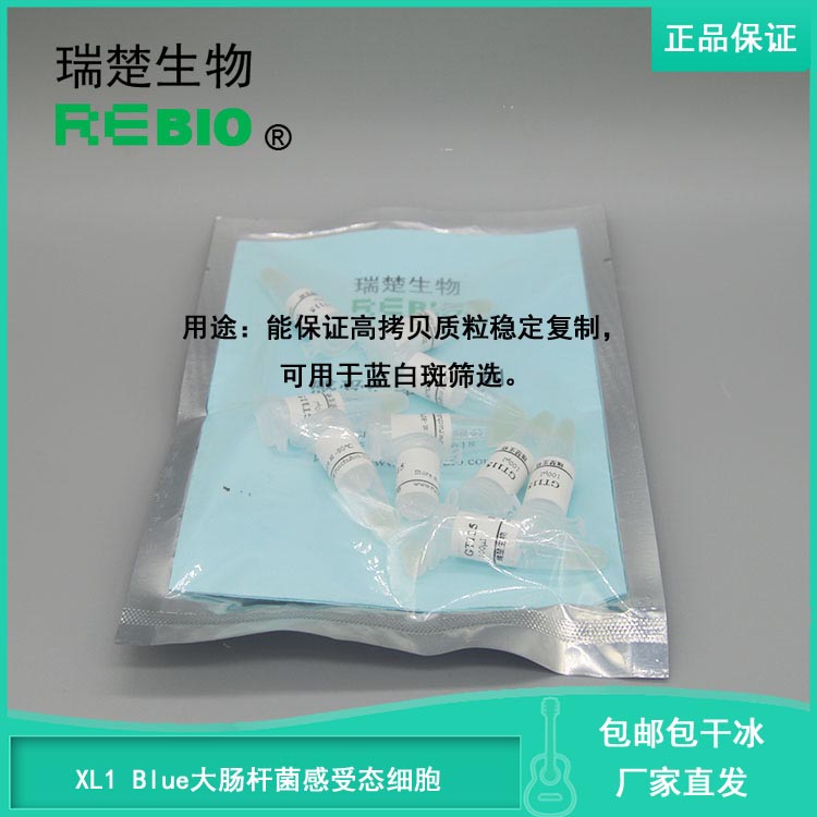 包邮包干冰XL1 Blue大肠杆菌感受态细胞10支20支30支50支100支