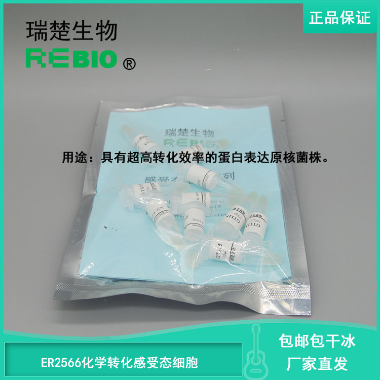 顺丰包邮包干冰ER2566化学转化感受态细胞大肠杆菌10支20支30支