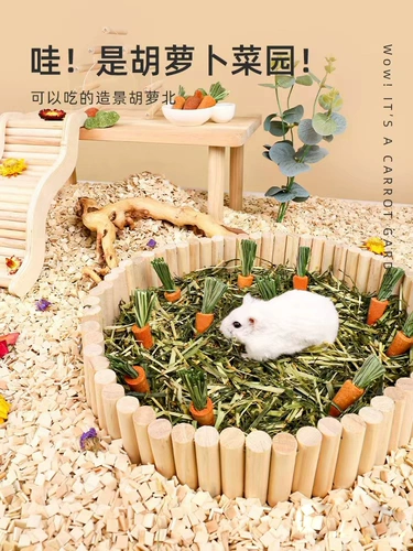 赫尔达 Маленькие морковные ландшафтные кроличи