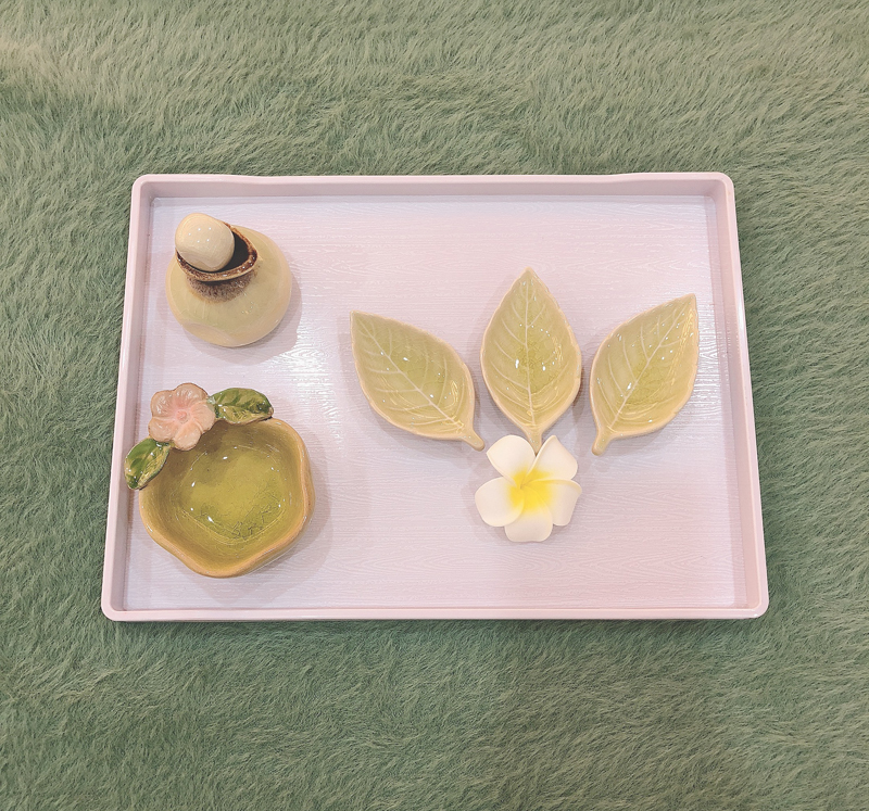 Beauty salon SPA skin management bed swing set up tray tea tray Trolley Essential Oil Bottle Deployment Saucepan Tea