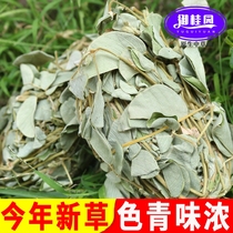 金钱草新鲜晒干野生广金钱草茶天然大叶全草干溶石结石肾泡水500g