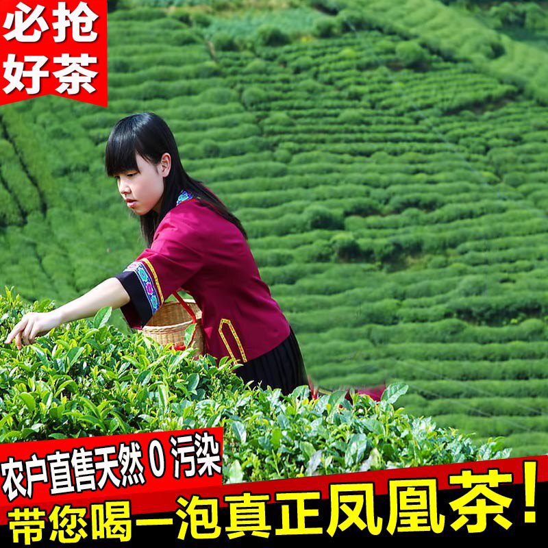 茶农自销13433737351的LOGO