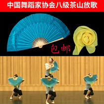 Chinese Dancers Association Graded Chashan song props Silk fan Jiaozhou Yangge Silk Scarf Grade 7 Grade 2 Small red fan