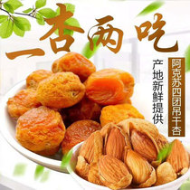 Xinjiang Aksu four-group hanging apricot tree dry without adding new goods 1-3kg