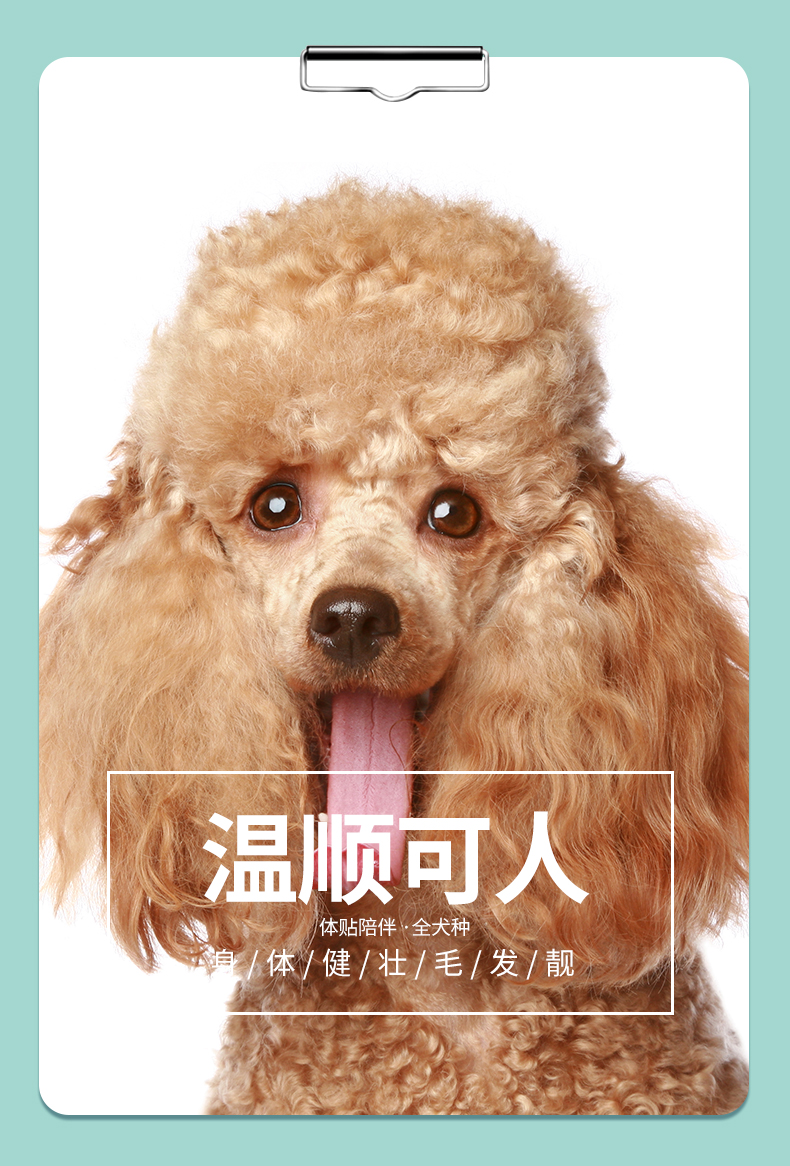 Dog Snacks Dog Beef Grain Phần thưởng Đào tạo Pet Snacks Teddy Bear Golden Retriever Canxi Molar Stick Hoa ban đầu - Đồ ăn vặt cho chó thức ăn cho chó ganador