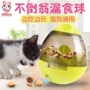 Tây cat cat tumbler bị rò rỉ đồ chơi bóng bị rò rỉ thực phẩm bóng pet đồ chơi thức ăn chậm tumbler cat dog đồ chơi xương đồ chơi cho chó mèo