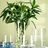 Прямая бочка пластиковая акриловая, прозрачная и богатая бамбуковая пластиковая ваза дорога, прямая цилиндрическая свадьба