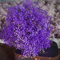 Сиреневый, 450 грамм, 500 грамм