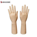 Модель рук, мужской манекен головы, перчатки, стенд