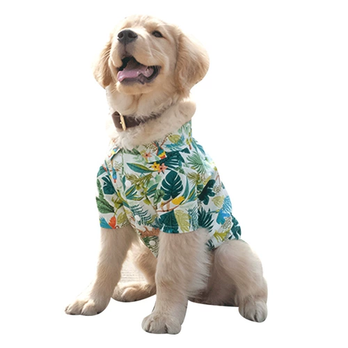 Пляжная рубашка, защита от солнца