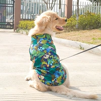 Темный дождевой лес