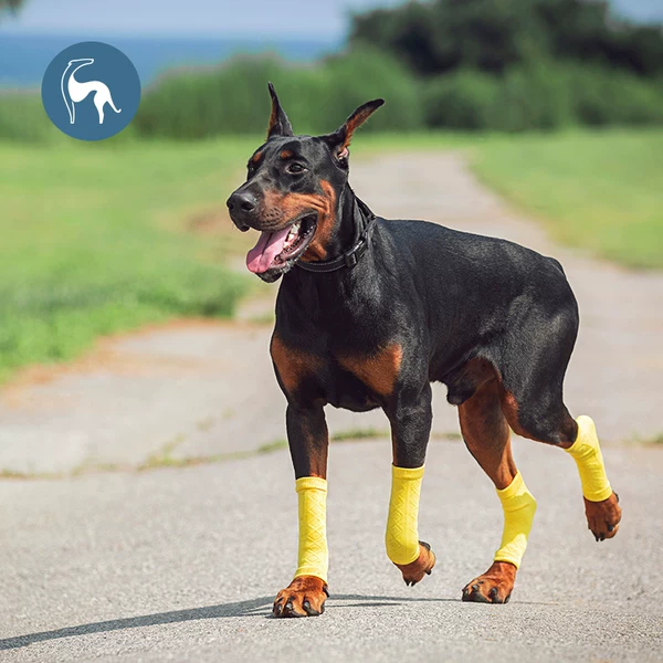 Товары от 汤汤