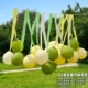 A8 Retro Green Balloon Tassel