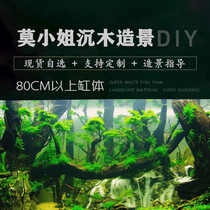 Miss Mo original design fish tank landscaping combination branch sunken wood native South American grass tank Skeleton Tree of Life