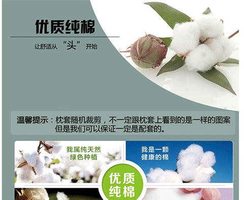 Nhà làm đẹp 100% cotton gối sinh viên dành cho người lớn cotton in vỏ gối đơn dây kéo đôi phong bì gối tựa lưng sofa
