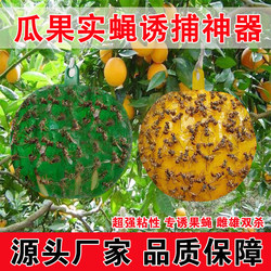 Fly Trap Ball for Citrus Fruit Flies, Sticky Trap Ball for Melon Fruit Flies, Wasp Fruit Fly Trap Ball, Wasp Attractant