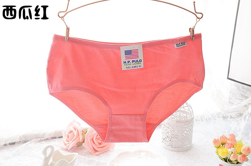 Slip A001 en coton - Ref 650431 Image 18