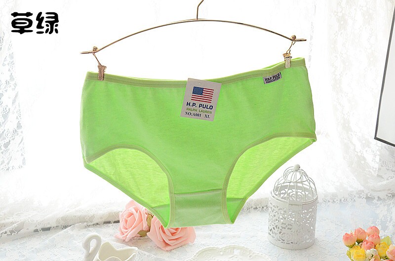 Slip A001 en coton - Ref 650431 Image 16