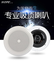 hope 700 750 coaxial fixed resistance speaker Home background music speaker Ceiling ceiling audio