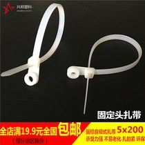 Fixed HEAD CABLE TIE 5*200MM SCREW HOLE cable TIE Nylon cable TIE Round HEAD WITH HOLE cable TIE HOLE PLASTIC cable TIE