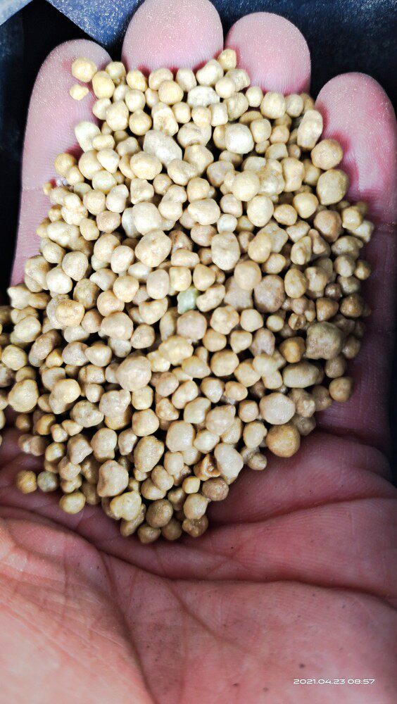 Imported controlled release fertilizer slow-release fertilizer Ai Besch Dutch Eckert flower plant potted general nutritional fertilizer