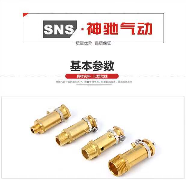 SNS Shenchi Dụng cụ khí nén Van an toàn Van giảm áp tác động trực tiếp Dòng BV đầy đủ - Công cụ điện khí nén