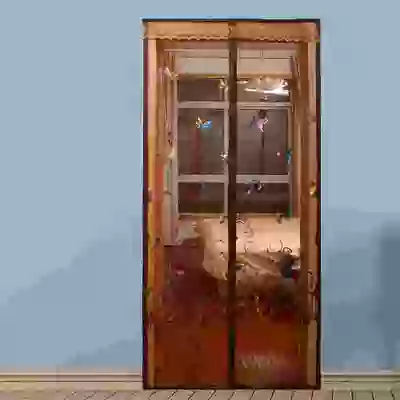 Sunshine magnetic soft screen door anti-mosquito curtain screen door screen door insect door curtain colorful bronzing