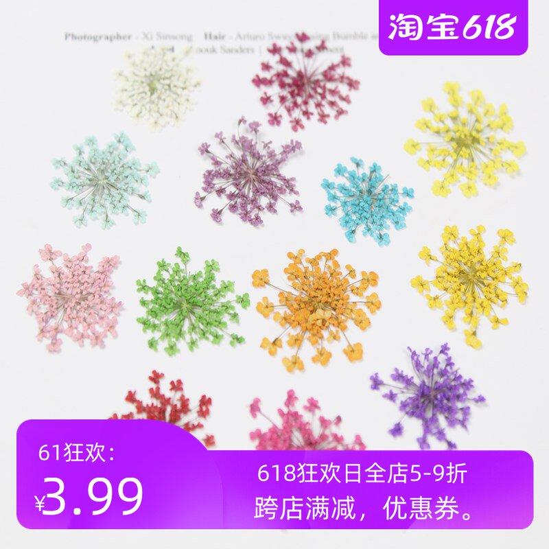 Lace flower, snow beads flower, dry flower, alabaster flower, nail frame, scented candle, DIY handmade crystal glue jewelry