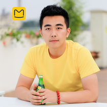 Hornet honeycomb logo embroidered T-shirt cotton round neck short sleeve Joker couple T 2019 New