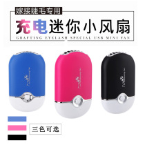 Grafting planting false eye eyelash special blow dryer Mini palm upper air conditioning small fan USB charging without leaf fan
