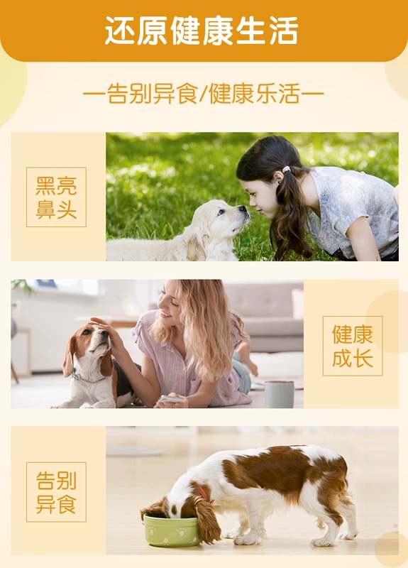 Máy tính bảng dấu vết của Mead Thú cưng chó chống mèo ăn phân chó chống mạt đất chống chăn thả - Cat / Dog Health bổ sung